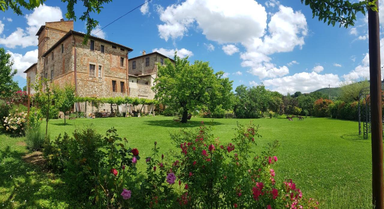 Agriturismo Abbazia Sette Frati A Casa Di Sara Pietrafitta  المظهر الخارجي الصورة