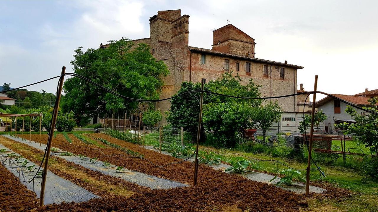 Agriturismo Abbazia Sette Frati A Casa Di Sara Pietrafitta  المظهر الخارجي الصورة