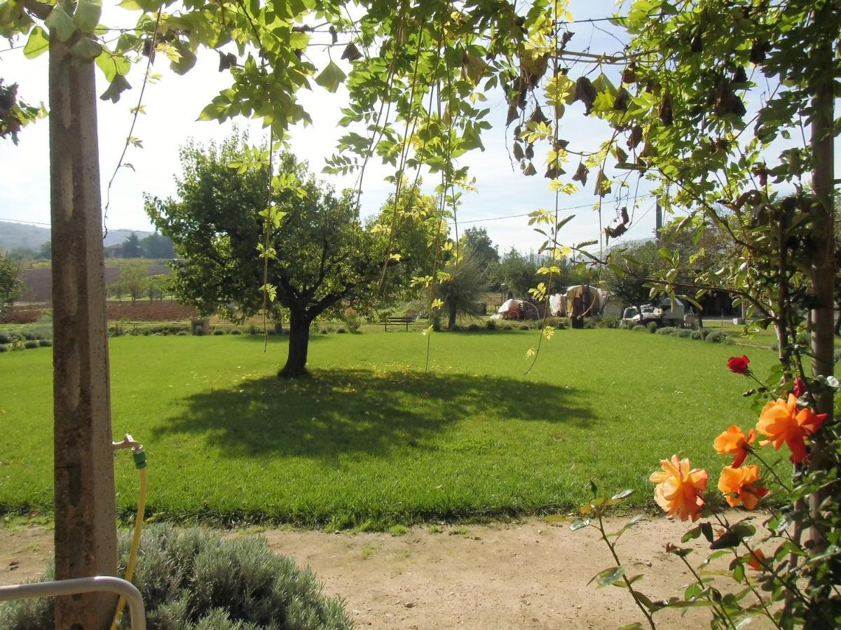 Agriturismo Abbazia Sette Frati A Casa Di Sara Pietrafitta  المظهر الخارجي الصورة